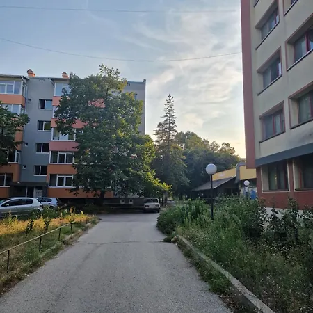 Harmony * Русе